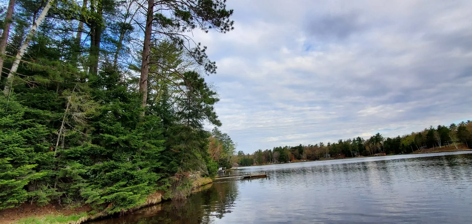 Cabin 6 photo